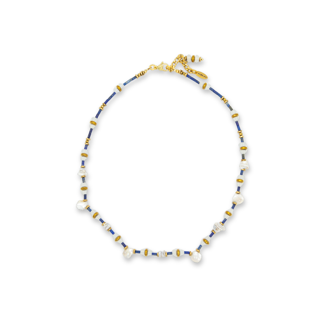 Collar Barracuda