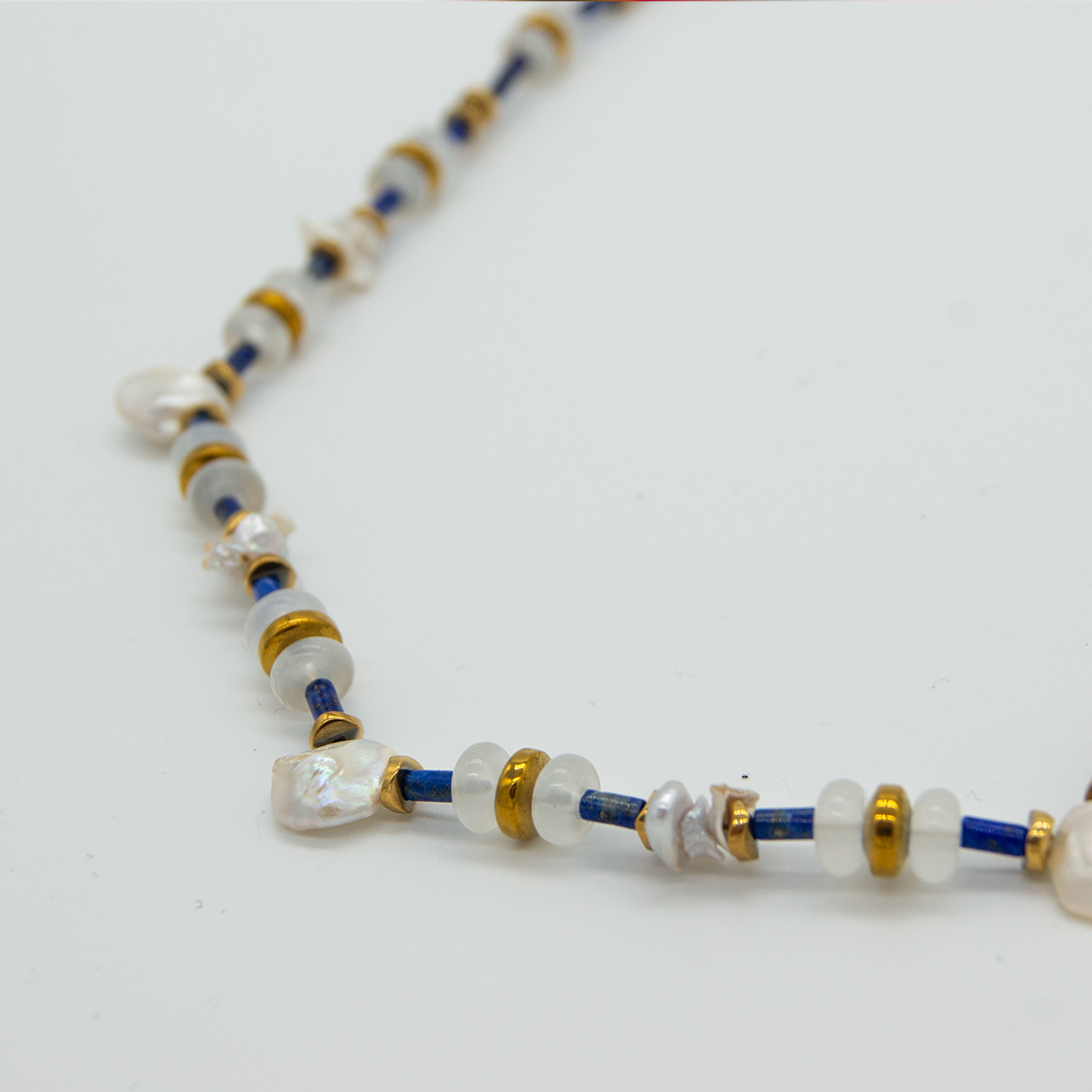 Collar Barracuda
